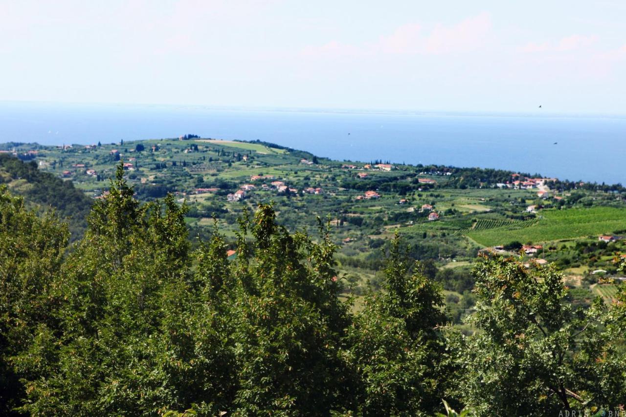 Garden Ville Izola MIRA Dış mekan fotoğraf